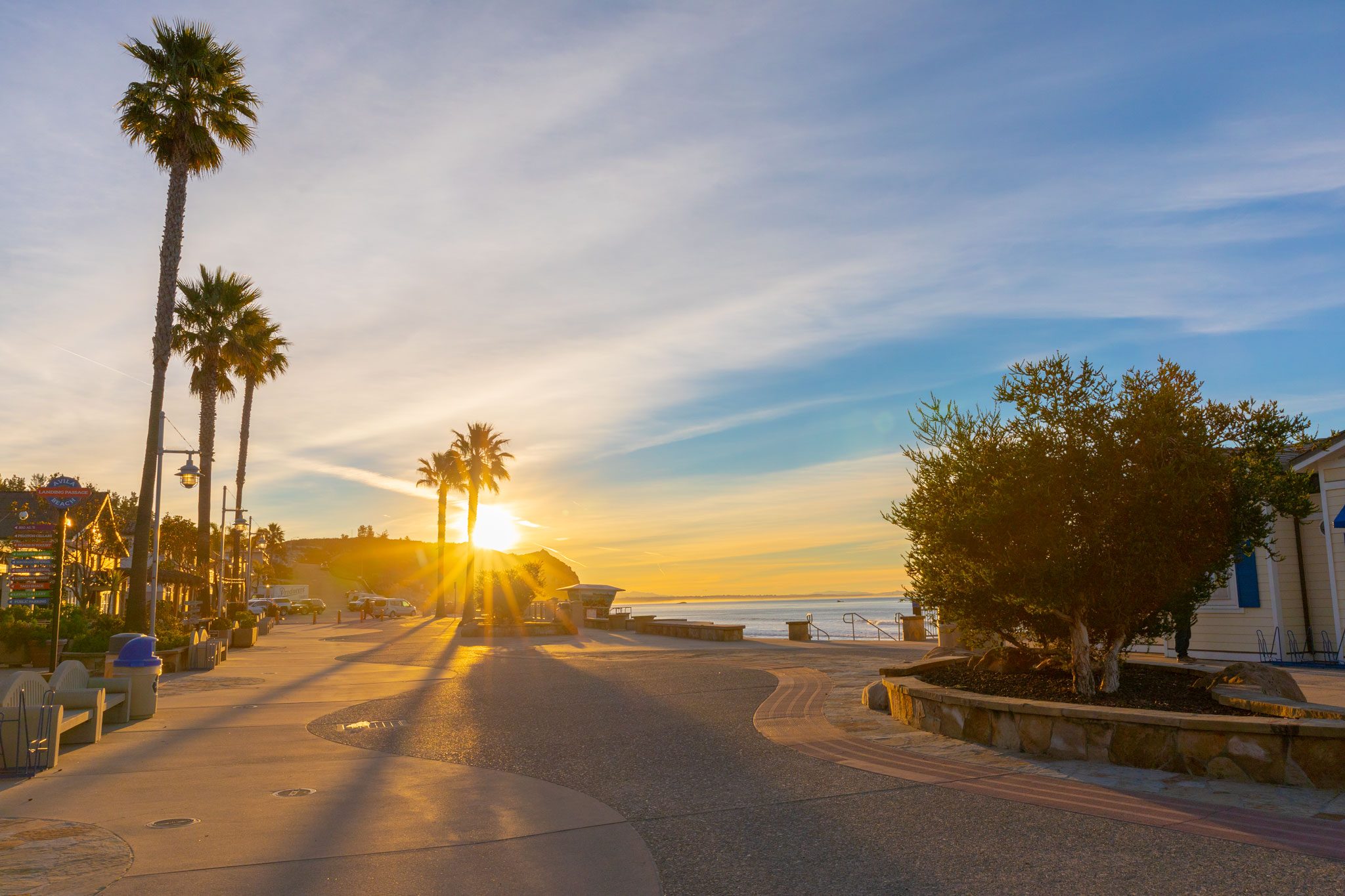 The sun rising through palm trees over Front Street and the Avila Beach promenade