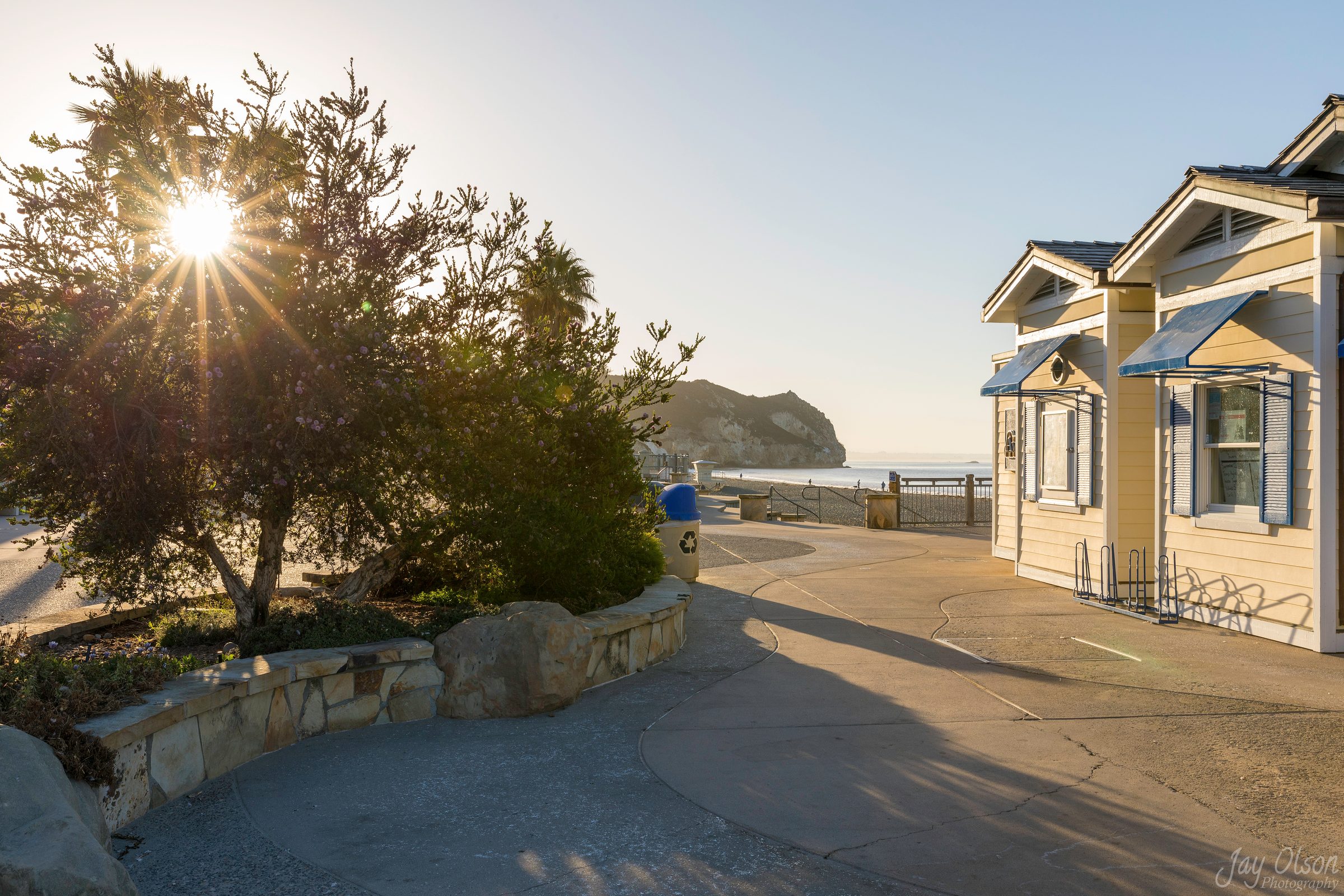 Morning sun through a tree on the Avila Beach promenade beside a beach cottage