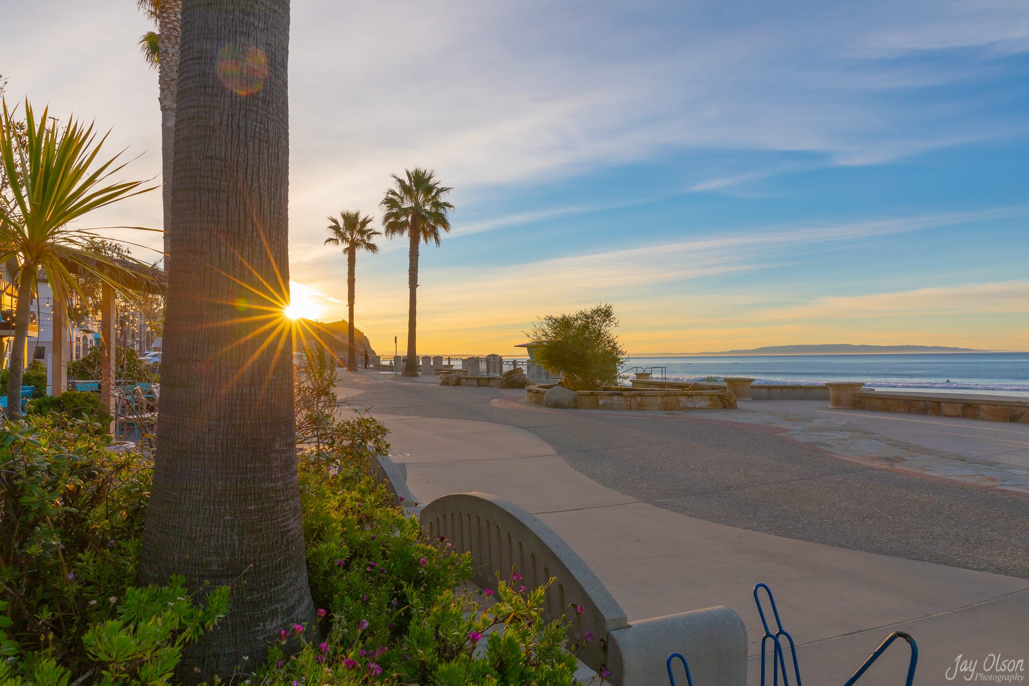 The sun bursting past a palm tree on the Avila Beach promenade beside Front Street shops