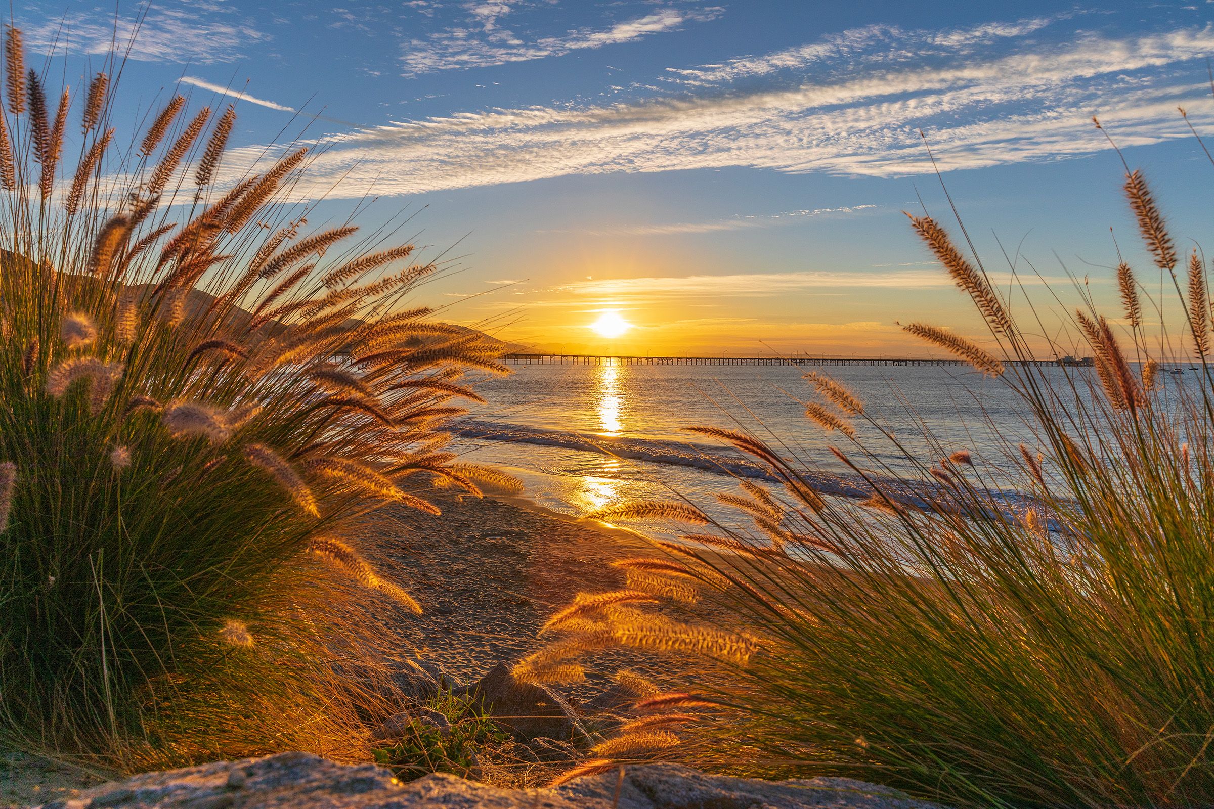 Morning sun shining through beach grass at Olde Port Beach, with Harford Pier on the horizon