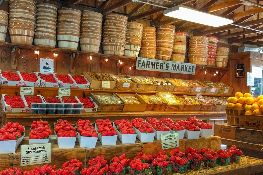 Baskets of fresh strawberries under the Garden Fresh Strawberries sign at Avila Valley Barn