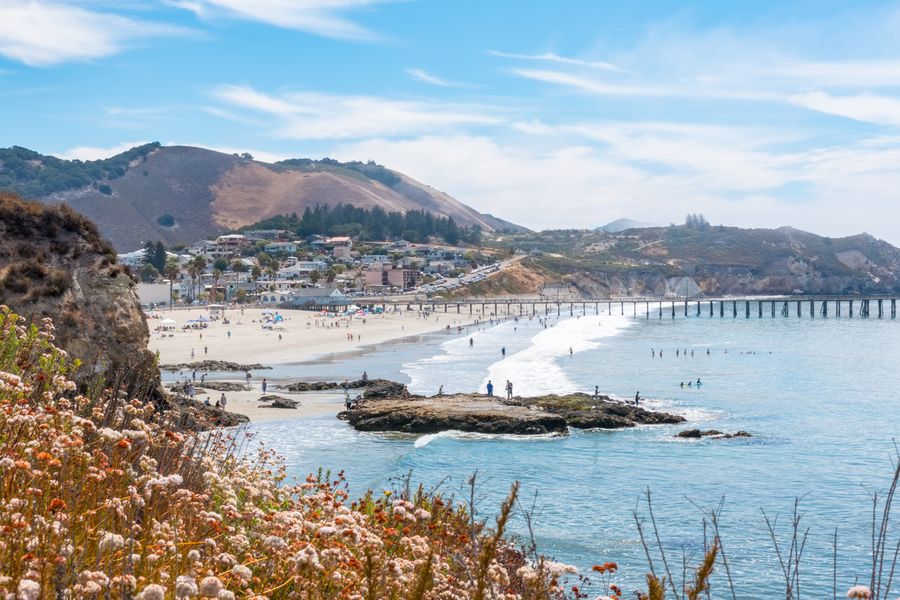 Wildflowers on the bluff above a busy Avila Beach, with tide pool rocks and the pier
