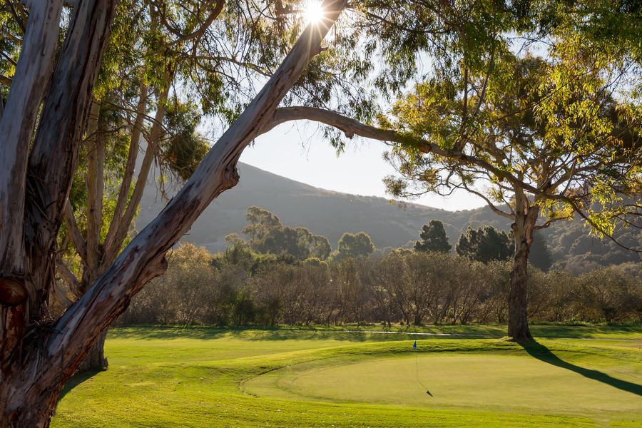 Late sun through eucalyptus trees over a green at Avila Beach Golf Resort