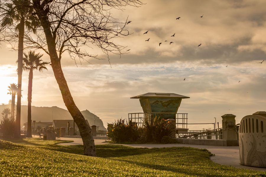 The painted lifeguard tower and the lawn at Avila Beach Park at sunrise