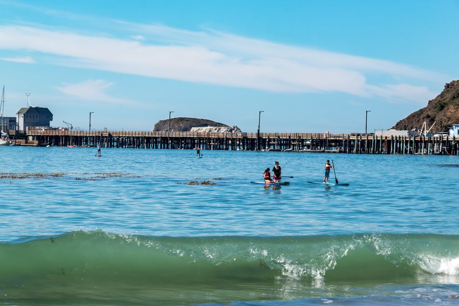Paddleboarders on calm water in front of Harford Pier and Whaler's Island