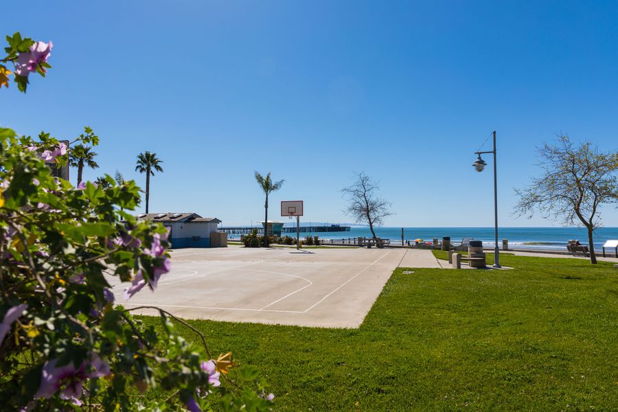 Purple flowers framing the basketball court and lawn at Avila Beach Park, with the pier and ocean beyond