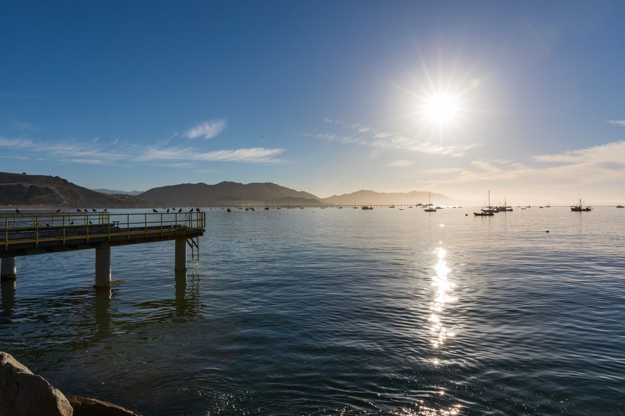 Birds lining a small landing at Port San Luis, with moored boats and the sun over the bay